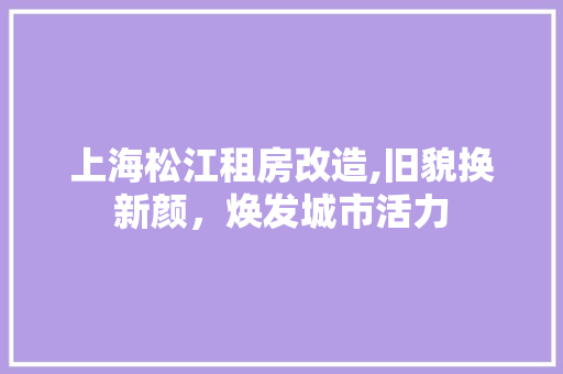 上海松江租房改造,旧貌换新颜，焕发城市活力