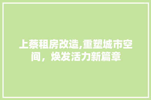 上蔡租房改造,重塑城市空间，焕发活力新篇章 公共建筑设计