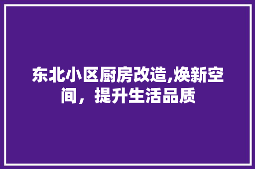 东北小区厨房改造,焕新空间，提升生活品质 常见问题