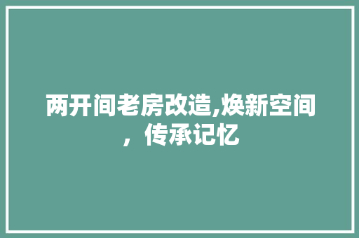 两开间老房改造,焕新空间，传承记忆