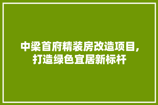 中梁首府精装房改造项目,打造绿色宜居新标杆 材料设备