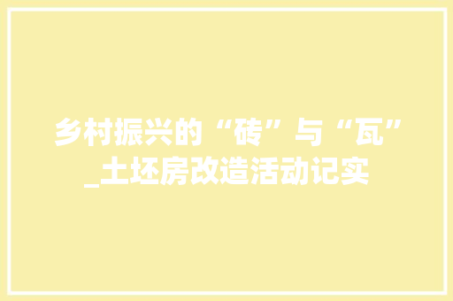 乡村振兴的“砖”与“瓦”_土坯房改造活动记实