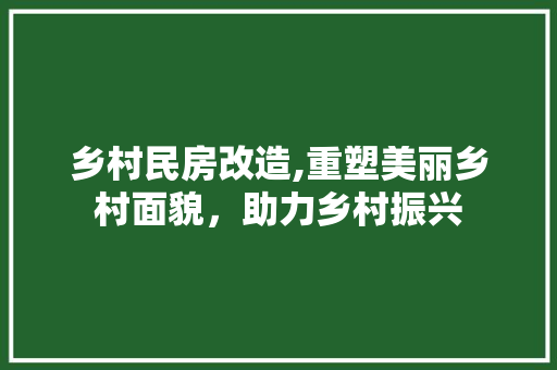 乡村民房改造,重塑美丽乡村面貌，助力乡村振兴