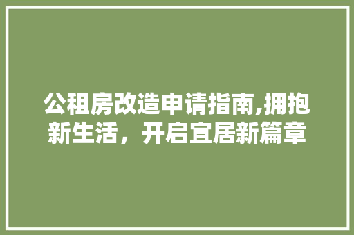公租房改造申请指南,拥抱新生活，开启宜居新篇章