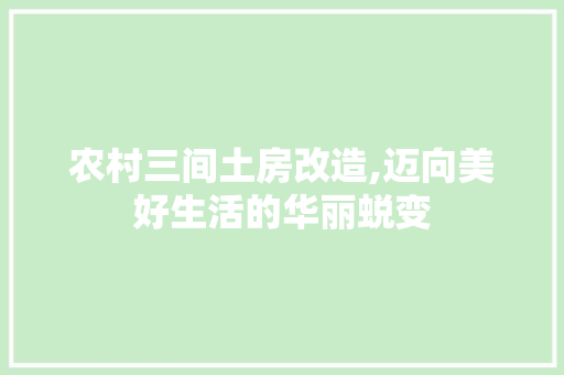 农村三间土房改造,迈向美好生活的华丽蜕变 常用设备
