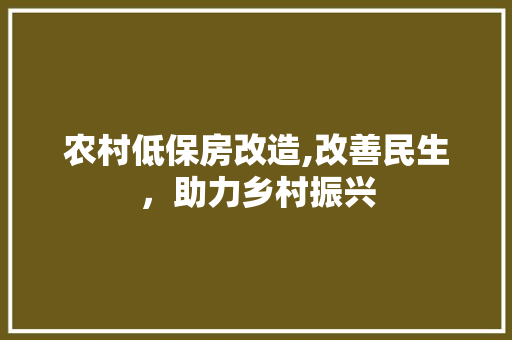 农村低保房改造,改善民生，助力乡村振兴 工艺流程