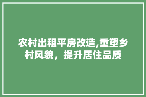 农村出租平房改造,重塑乡村风貌，提升居住品质 建筑设计