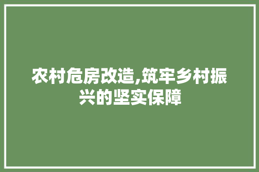 农村危房改造,筑牢乡村振兴的坚实保障 施工管理