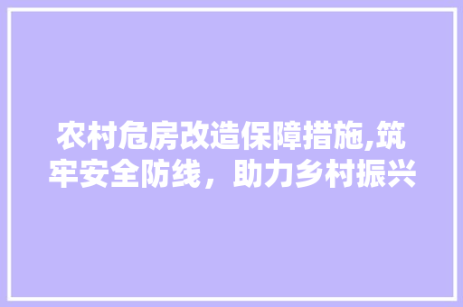 农村危房改造保障措施,筑牢安全防线，助力乡村振兴 住宅建筑设计