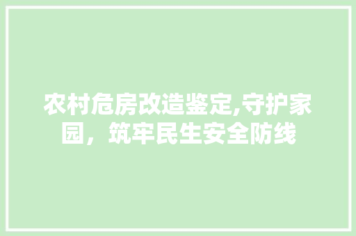 农村危房改造鉴定,守护家园，筑牢民生安全防线 施工工艺