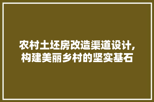 农村土坯房改造渠道设计,构建美丽乡村的坚实基石