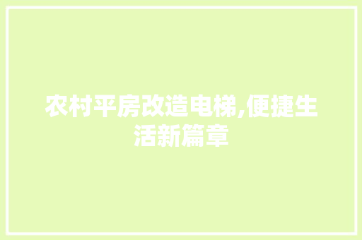 农村平房改造电梯,便捷生活新篇章 施工管理