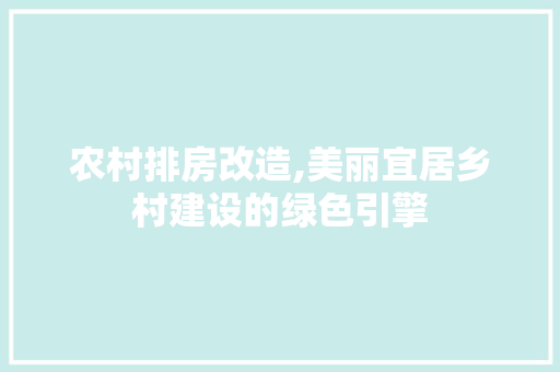 农村排房改造,美丽宜居乡村建设的绿色引擎 新型材料