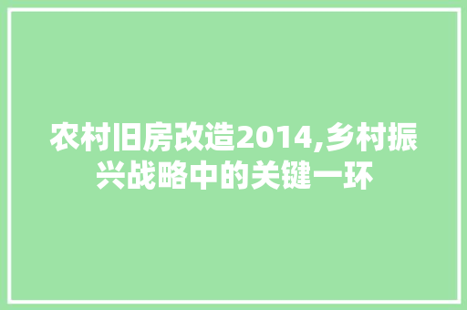 农村旧房改造2014,乡村振兴战略中的关键一环 常用设备