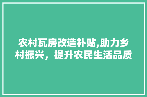 农村瓦房改造补贴,助力乡村振兴，提升农民生活品质 新型材料