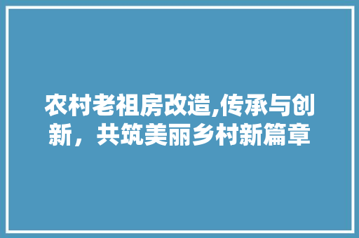 农村老祖房改造,传承与创新，共筑美丽乡村新篇章