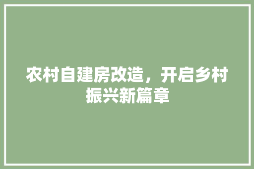 农村自建房改造，开启乡村振兴新篇章 材料设备