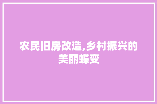 农民旧房改造,乡村振兴的美丽蝶变 设计原则