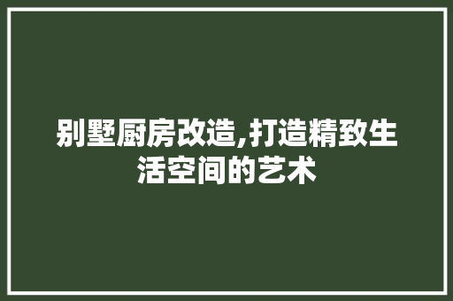 别墅厨房改造,打造精致生活空间的艺术 工艺流程