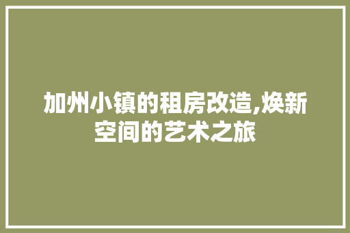 加州小镇的租房改造,焕新空间的艺术之旅