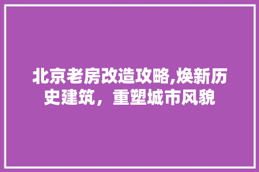 北京老房改造攻略,焕新历史建筑，重塑城市风貌 常用设备