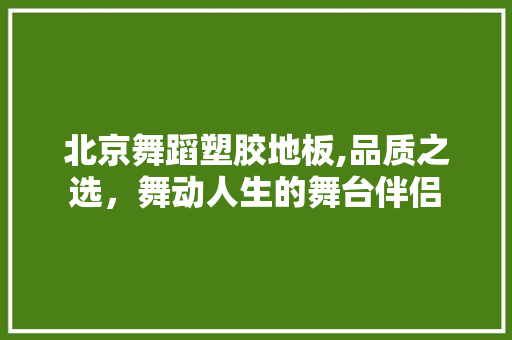 北京舞蹈塑胶地板,品质之选，舞动人生的舞台伴侣 施工管理