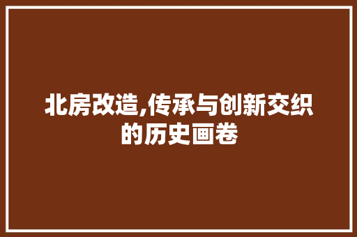 北房改造,传承与创新交织的历史画卷 建筑法规