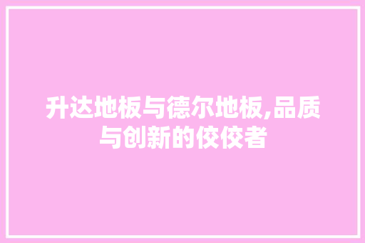 升达地板与德尔地板,品质与创新的佼佼者 工艺流程