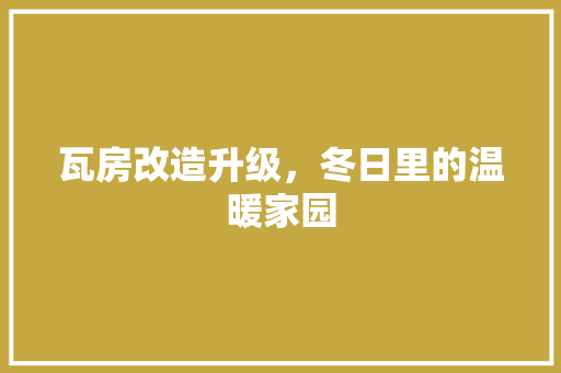 瓦房改造升级，冬日里的温暖家园