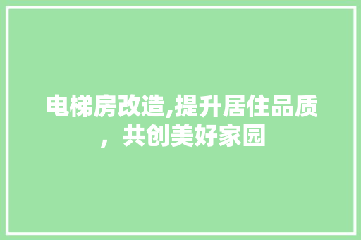 电梯房改造,提升居住品质，共创美好家园