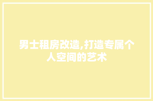 男士租房改造,打造专属个人空间的艺术