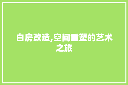 白房改造,空间重塑的艺术之旅