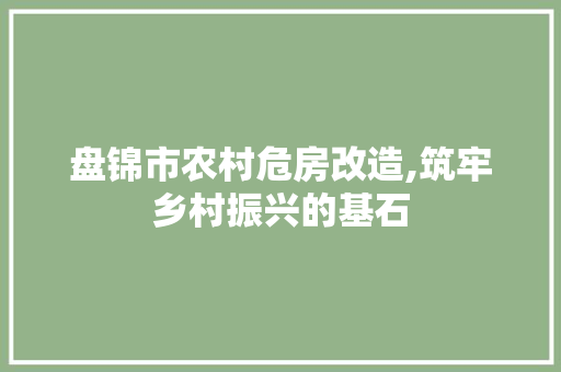盘锦市农村危房改造,筑牢乡村振兴的基石 建筑法规