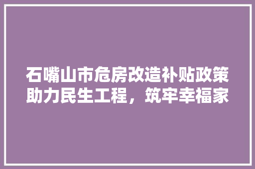 石嘴山市危房改造补贴政策助力民生工程，筑牢幸福家园
