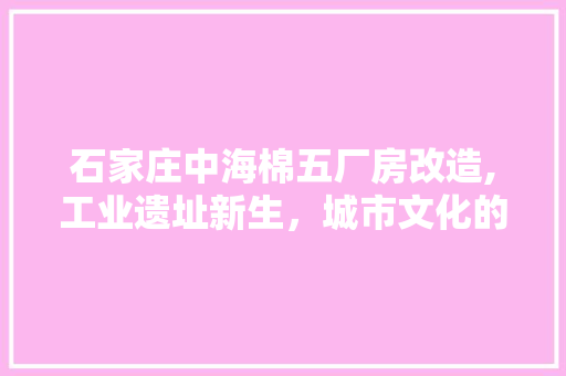 石家庄中海棉五厂房改造,工业遗址新生，城市文化的传承与创新 工艺流程