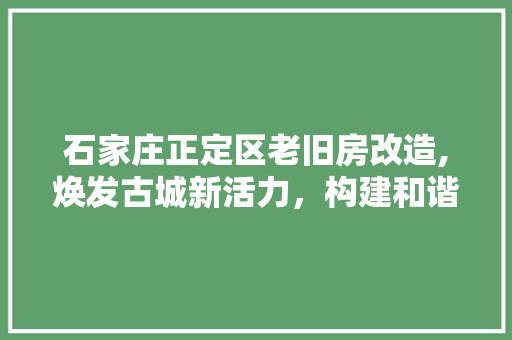 石家庄正定区老旧房改造,焕发古城新活力，构建和谐宜居环境 生态建筑设计