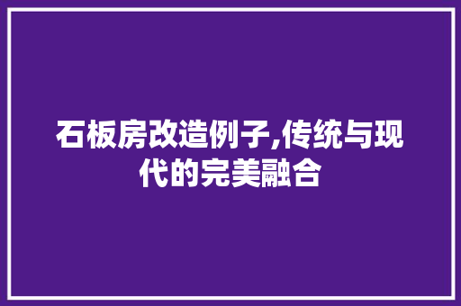 石板房改造例子,传统与现代的完美融合