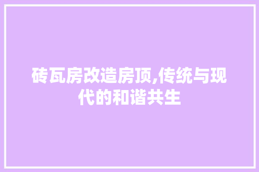 砖瓦房改造房顶,传统与现代的和谐共生