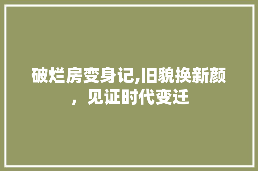 破烂房变身记,旧貌换新颜，见证时代变迁