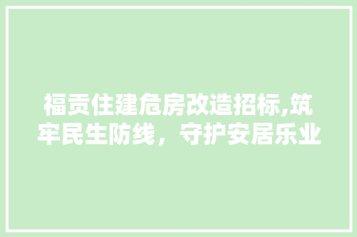 福贡住建危房改造招标,筑牢民生防线，守护安居乐业