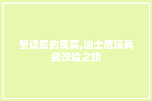 童话般的现实,迪士尼玩具房改造之旅