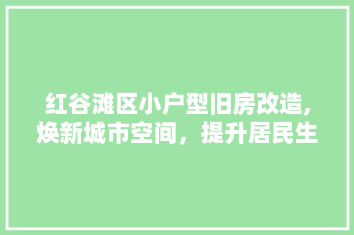 红谷滩区小户型旧房改造,焕新城市空间，提升居民生活品质 知识问答