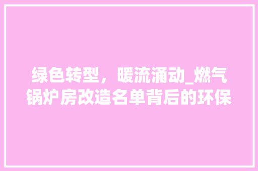 绿色转型，暖流涌动_燃气锅炉房改造名单背后的环保意义与未来展望