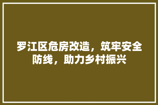 罗江区危房改造，筑牢安全防线，助力乡村振兴 设计原则