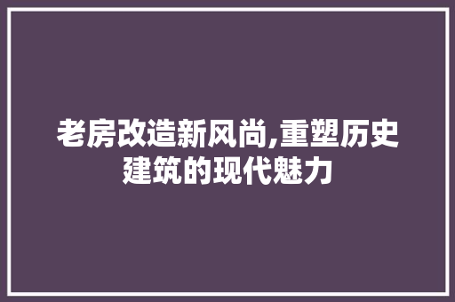 老房改造新风尚,重塑历史建筑的现代魅力 施工管理