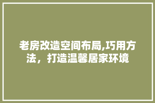 老房改造空间布局,巧用方法，打造温馨居家环境 施工工艺