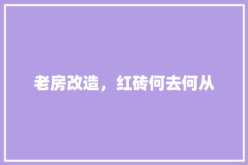 老房改造，红砖何去何从 住宅建筑设计