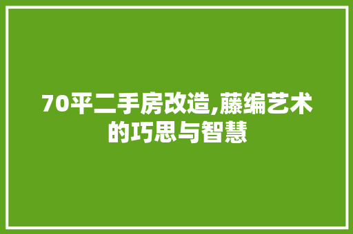 70平二手房改造,藤编艺术的巧思与智慧