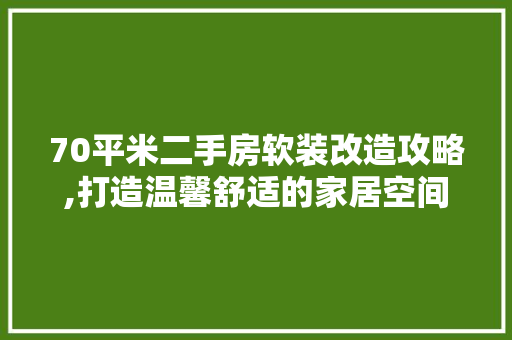 70平米二手房软装改造攻略,打造温馨舒适的家居空间 建筑法规
