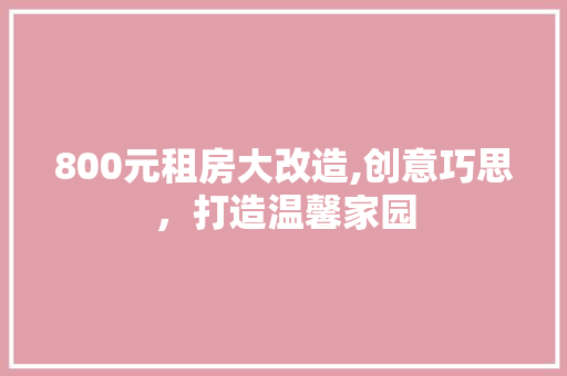 800元租房大改造,创意巧思，打造温馨家园 施工管理